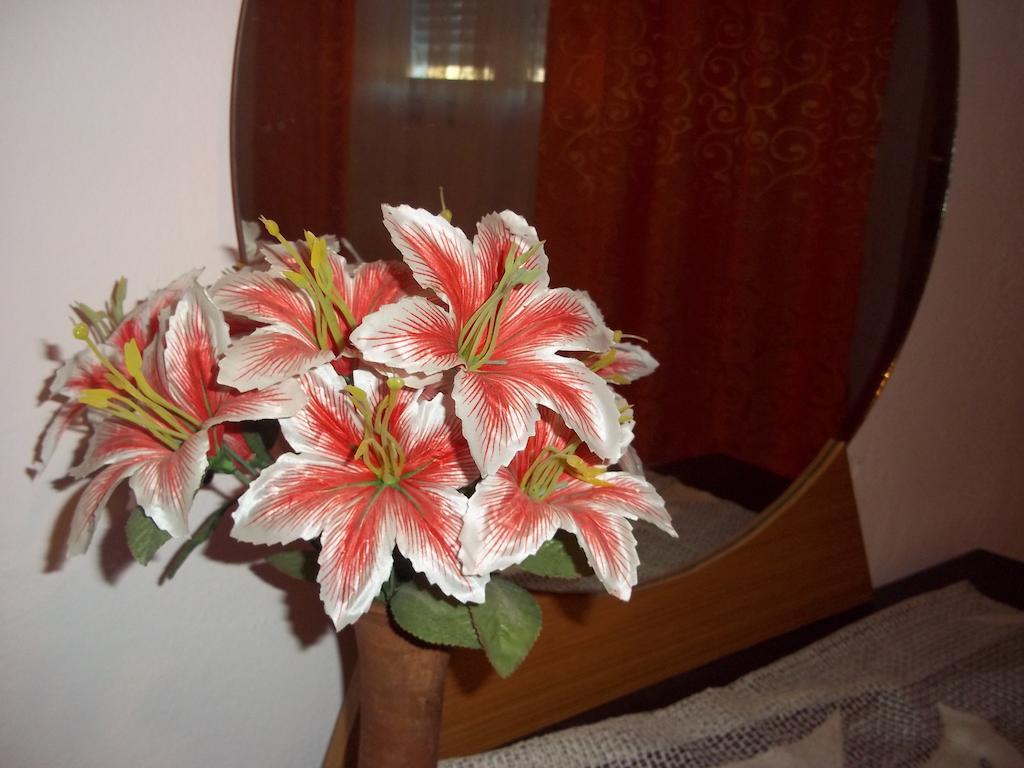 Rooms Zigic Korenica Dış mekan fotoğraf